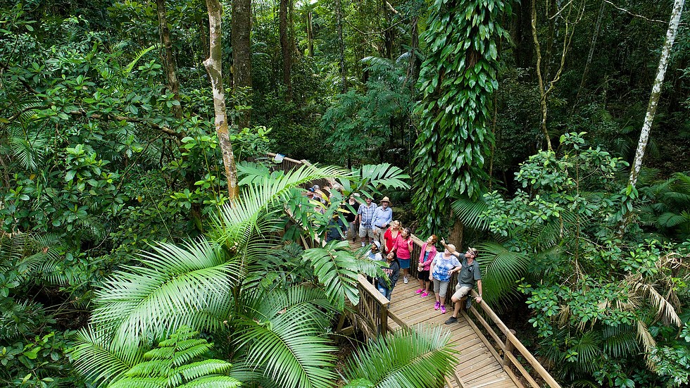 Cairns in February