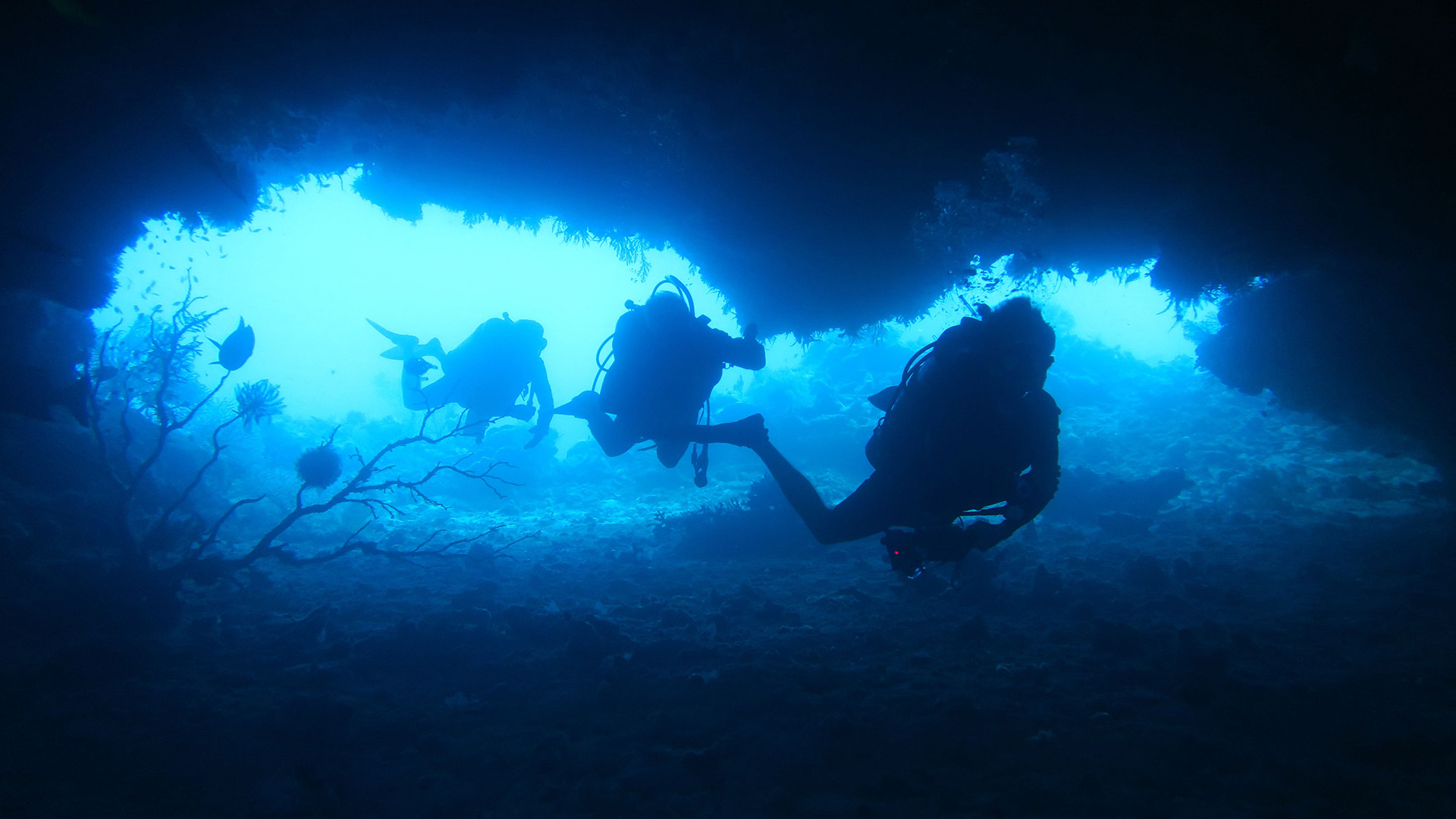 Expedition Diving