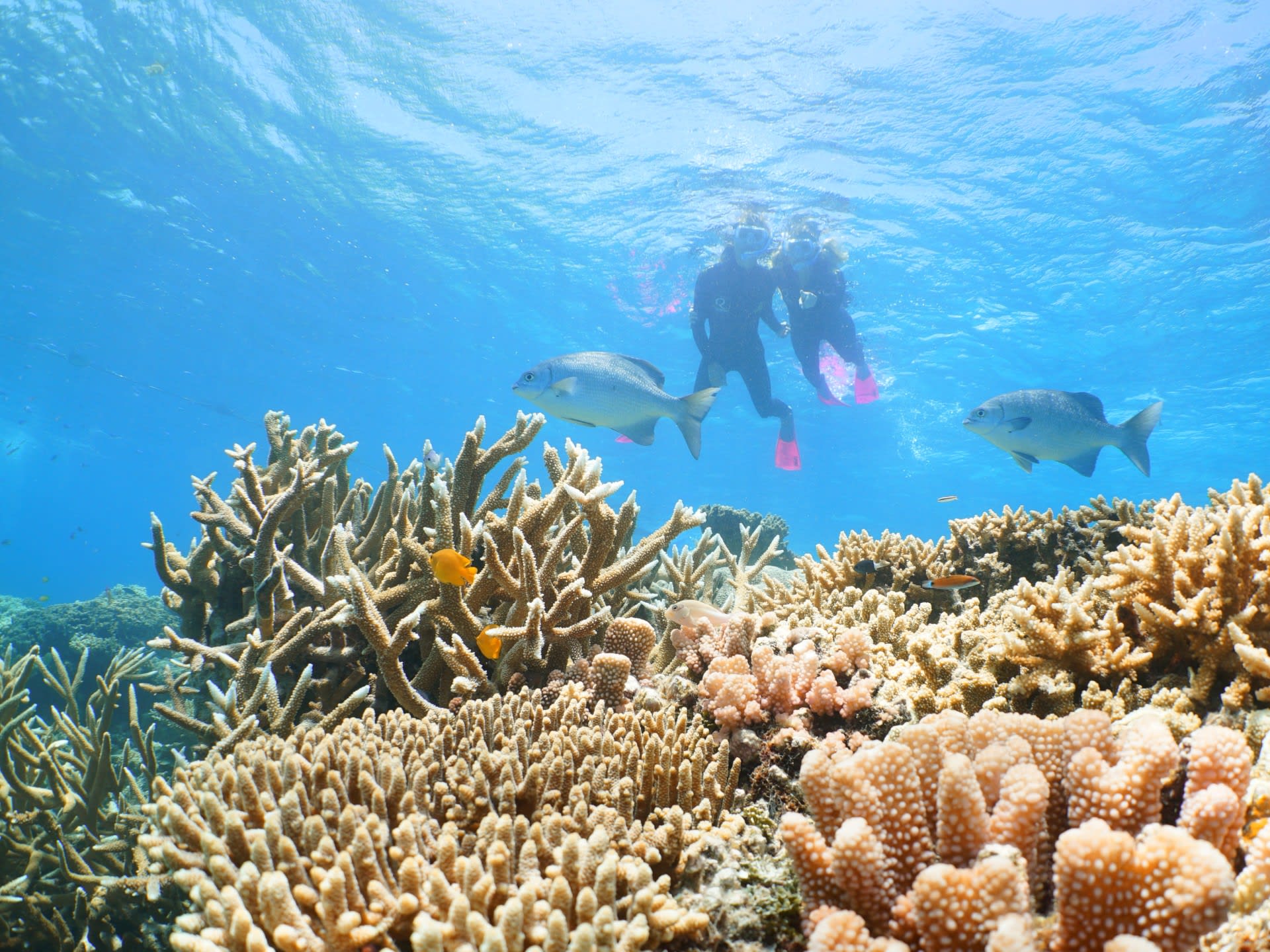 Great Barrier Reef