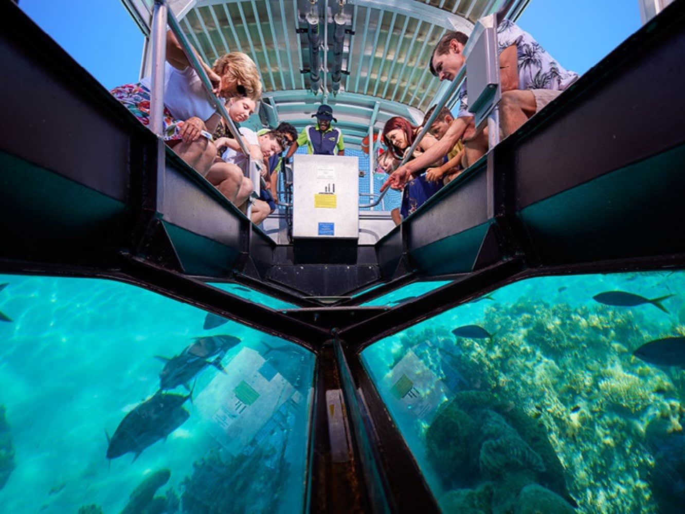 Glass Bottom Boat / Semi Submarine
