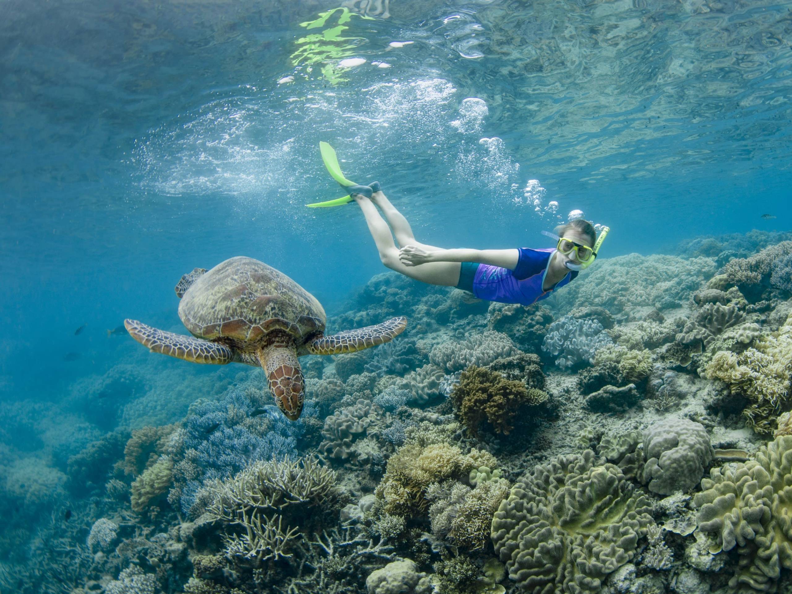 Snorkelling Tours