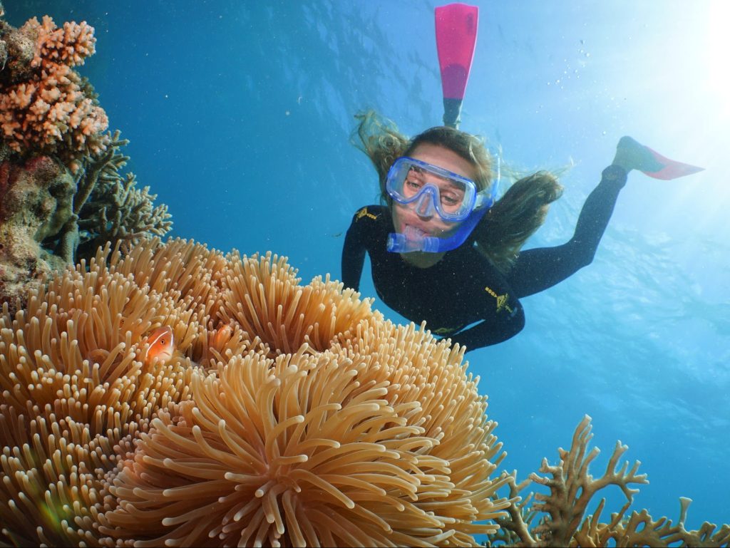 Explore the magical Great Barrier Reef