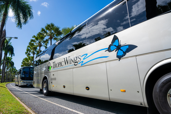 Tropic Wings