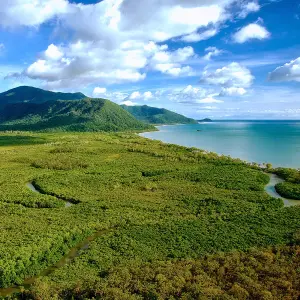 Daintree & Cape Tribulation
