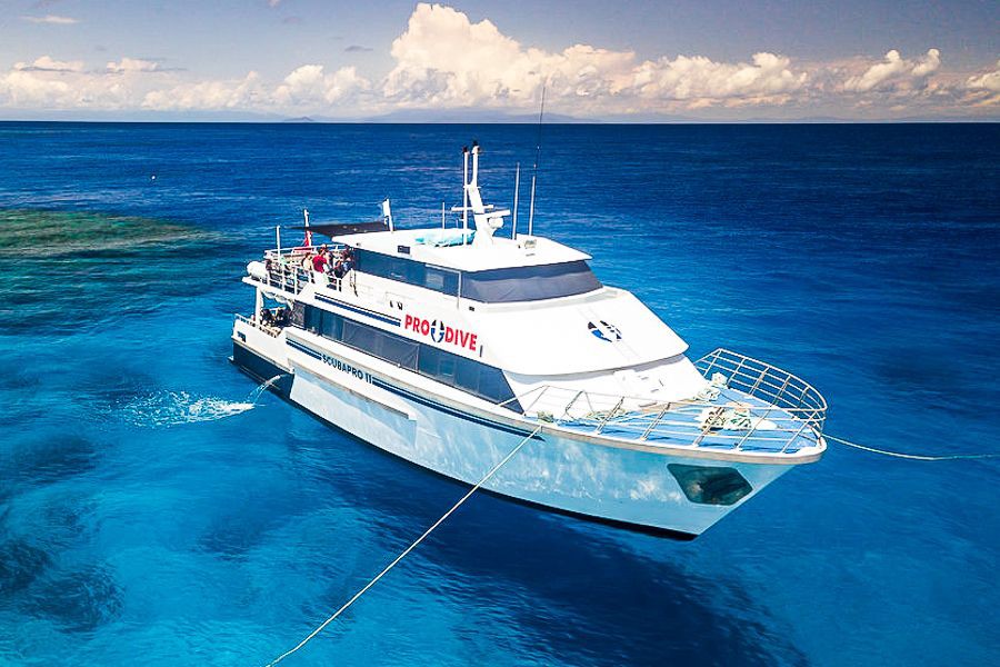 Pro Dive Cairns